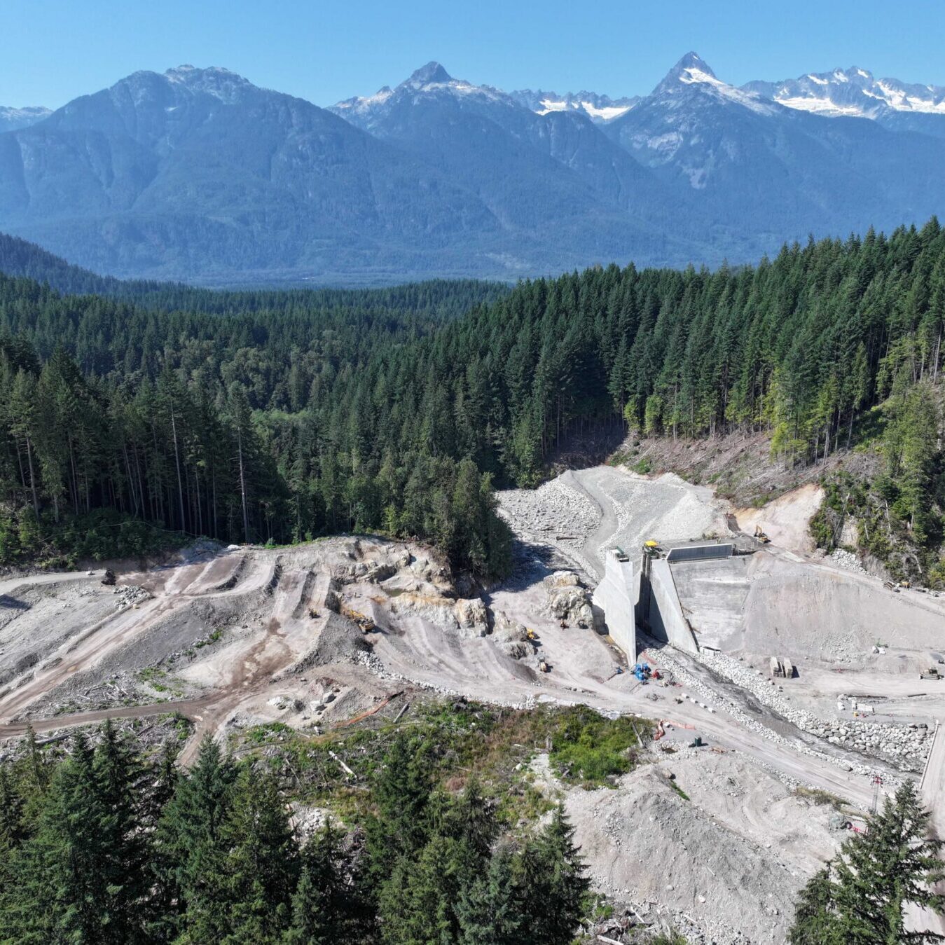Cheekeye Debris Structure